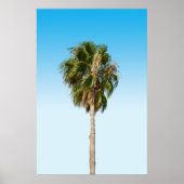 Poster Lonely palm tree (Devant)