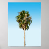 Poster Lonely palm tree (Devant)