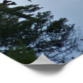 Poster Lonely River Dock (Coin)