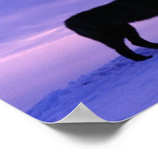 Poster Lonely Wolf (Coin)