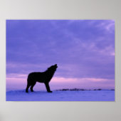 Poster Lonely Wolf (Devant)
