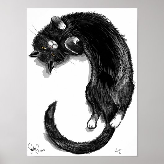 Poster Long (Devant)