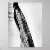 Poster long dur froid solitaire (Devant)