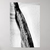 Poster long froid dur solitaire (Devant)