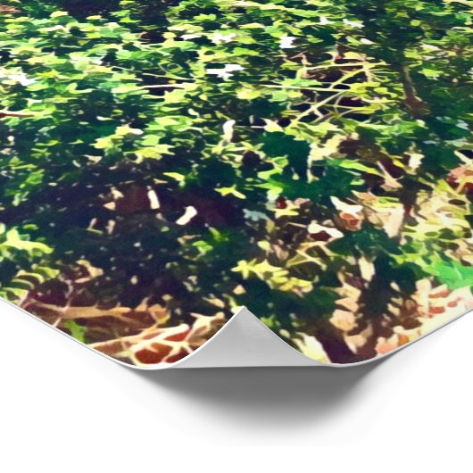 Poster Long Reef Plages du nord sydney (Coin)