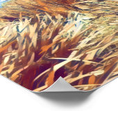 Poster Long Reef Plages du nord sydney (Coin)