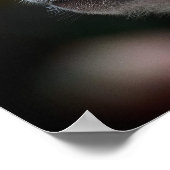 Poster Long-Tailed Macaque Close-Up (Coin)