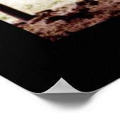 Poster Longhorn (Coin)