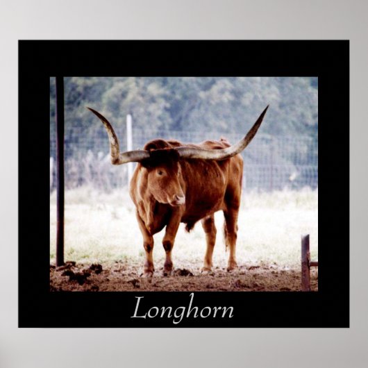 Poster Longhorn (Devant)