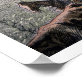 Poster Longhorn cattle drive from Texas to Abilene, Kansa (Coin)