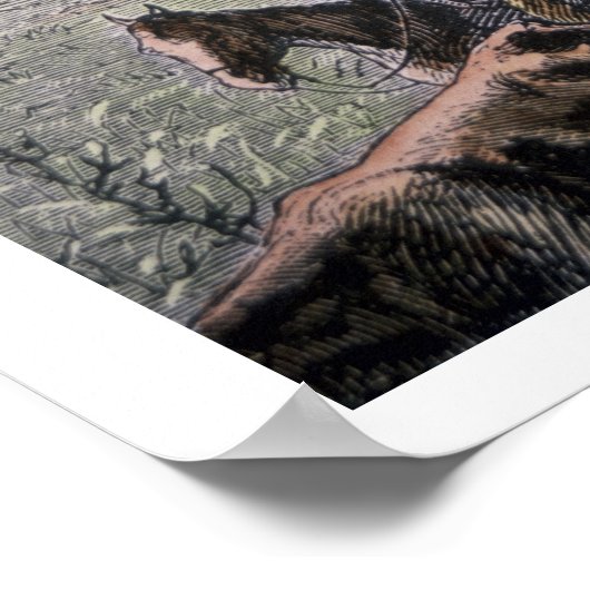 Poster Longhorn cattle drive from Texas to Abilene, Kansa (Coin)