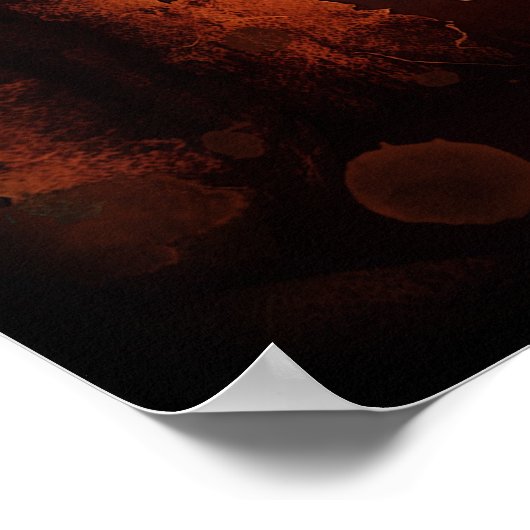 Poster Longhorn Crâne de vache rustique (Coin)