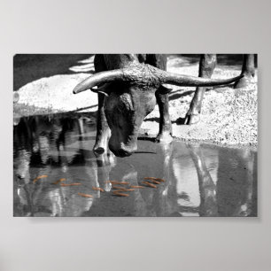 Poster Longhorn et poisson rouge