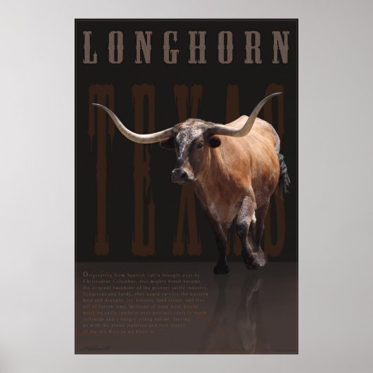 Poster Longhorn Legacy -40x60 -autres tailles auss (Devant)