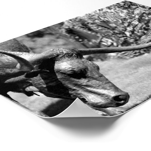 Poster Longhorn Manger (Coin)