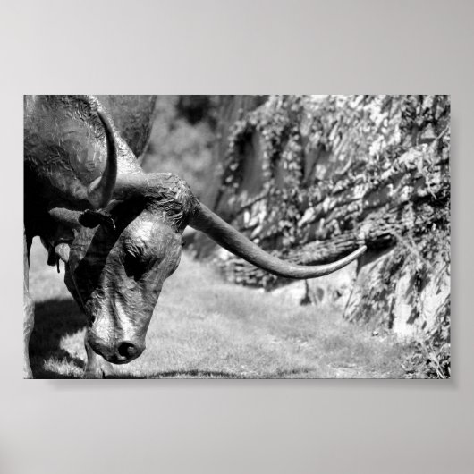 Poster Longhorn Manger (Devant)