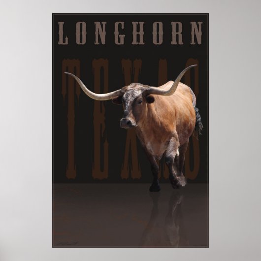 Poster Longhorn Power avec texte -40x60 - ou plus (Devant)