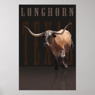 Poster Longhorn Power met tekst -40x60 - of kleine