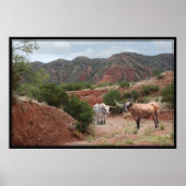 Poster Longhorn Ravine -60x40 (Devant)