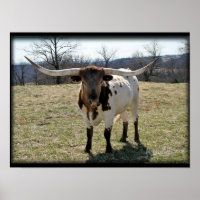Longhorn Steer {2} - choisir la taille et la toile