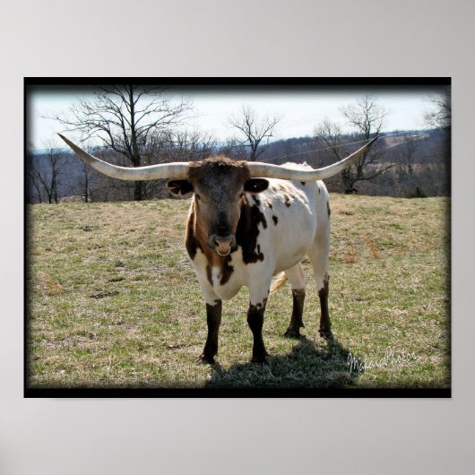 Poster Longhorn Steer {2} - choisir la taille et la toile (Devant)