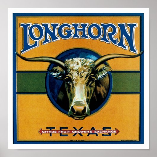 Poster Longhorn Texas (Devant)