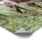 Poster Longhorns (Coin)