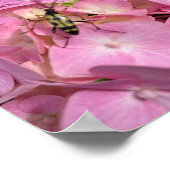 Poster Longicorne sur Hydrangea rose (Coin)