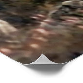 Poster Longs Peak Estes Park Colorado (Coin)