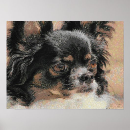 Poster Longue copie mignonne d'affiche de chiwawa de (Devant)