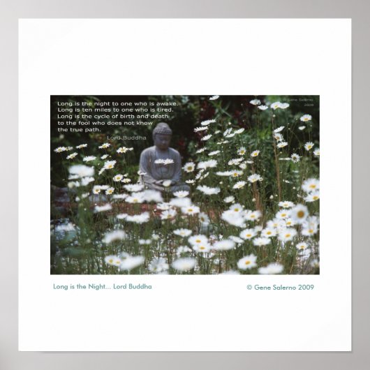 Poster Longue est la Nuit (Devant)