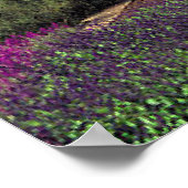 Poster Longwood Gardens - Pennsylvanie (Coin)