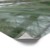 Poster Lonley Cardinal (Coin)