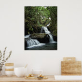 POSTER L'ONOMIE DE HAWAII TOMBE (Cuisine)
