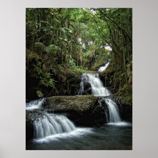 POSTER L'ONOMIE DE HAWAII TOMBE (Devant)