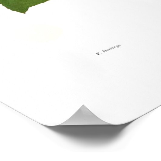 Poster Loofah (Coin)