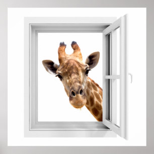 POSTER LOOKING AT YOU