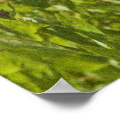 Poster Loosestrife pourpre (Coin)