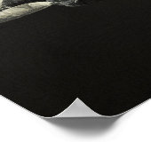 Poster L'Orca (Coin)