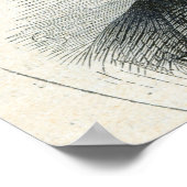 Poster Lord Stanley après une photo (Coin)