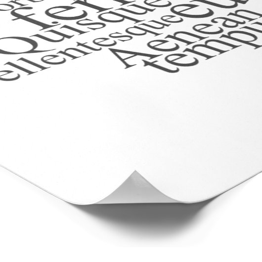 Poster Lorem Ipsum Word Cloud - version gris (Coin)