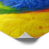 Poster Lori_2015_0203 (Coin)