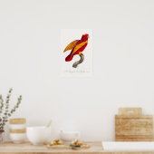 Poster Lori rouge et or, (Cuisine)