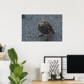 Poster L'original Angry Bird ? ? (Bureau à domicile)