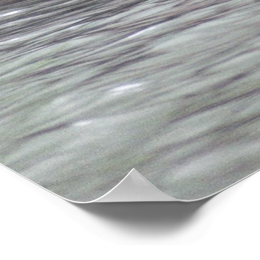 Poster L'orignal en mission (Coin)