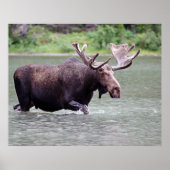 Poster L'orignal en mission (Devant)