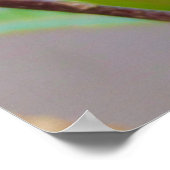 Poster Lorikeet Bird (Coin)