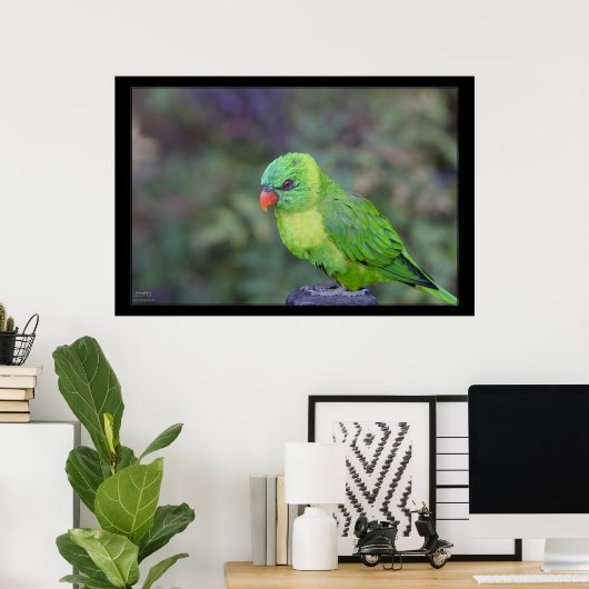 Poster Lorikeet vert (Bureau à domicile)