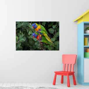 Poster Lorikeets arc-en-ciel, perroquets colorés,