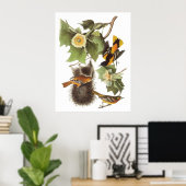 Poster L'Oriole du Nord d'Audubon (Bureau à domicile)